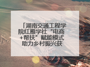 湖南交通工程学院红雁学社“电商+帮扶”赋能模式 助力乡村振兴获帮扶乡镇好评