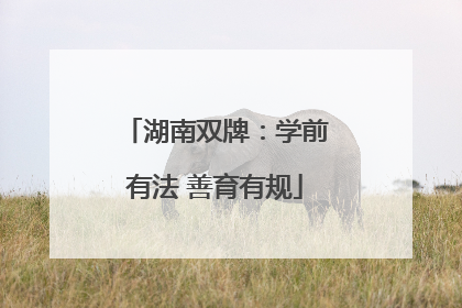 湖南双牌：学前有法 善育有规