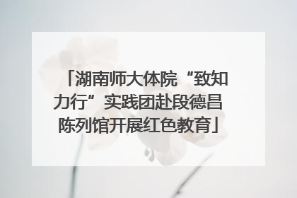 湖南师大体院“致知力行”实践团赴段德昌陈列馆开展红色教育