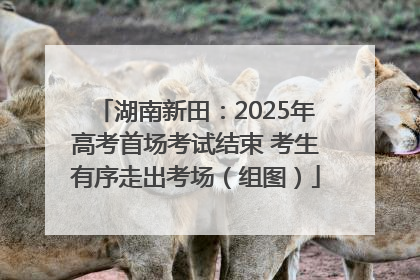 湖南新田：2025年高考首场考试结束 考生有序走出考场（组图）