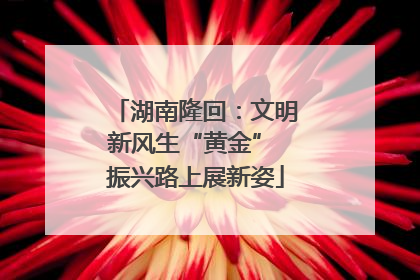 湖南隆回：文明新风生“黄金” 振兴路上展新姿