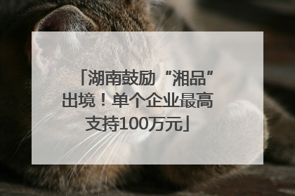 湖南鼓励“湘品”出境！单个企业最高支持100万元