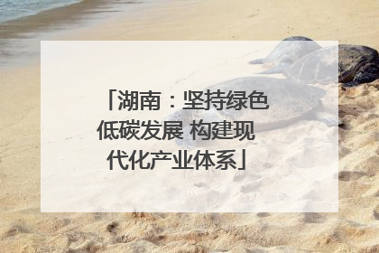 湖南：坚持绿色低碳发展 构建现代化产业体系