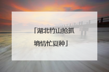 湖北竹山抢抓墒情忙夏种