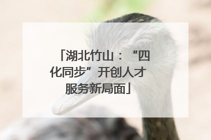 湖北竹山：“四化同步”开创人才服务新局面