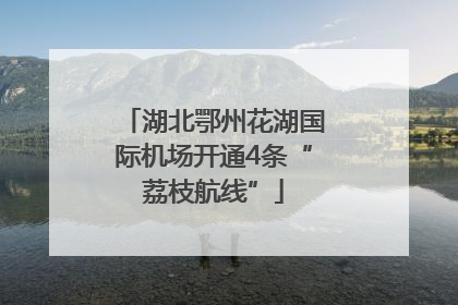 湖北鄂州花湖国际机场开通4条“荔枝航线”