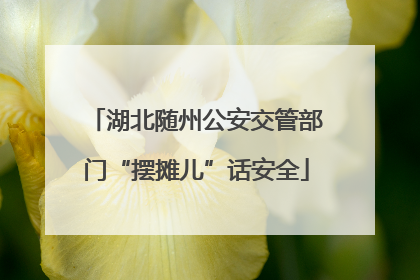 湖北随州公安交管部门“摆摊儿”话安全