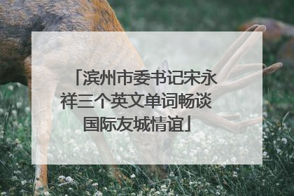 滨州市委书记宋永祥三个英文单词畅谈国际友城情谊