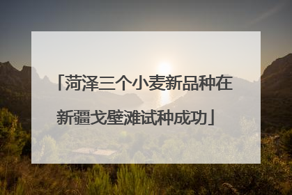 菏泽三个小麦新品种在新疆戈壁滩试种成功