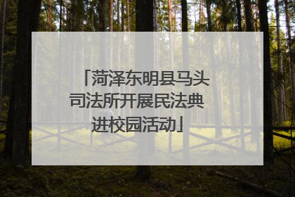 菏泽东明县马头司法所开展民法典进校园活动
