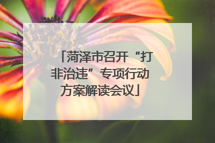 菏泽市召开“打非治违”专项行动方案解读会议