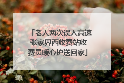 老人两次误入高速 张家界西收费站收费员暖心护送回家