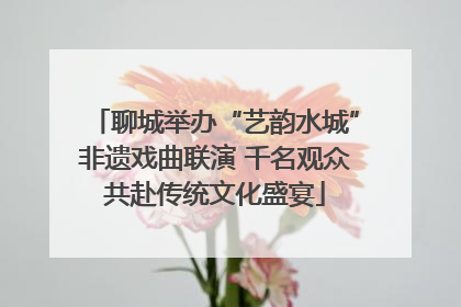 聊城举办“艺韵水城”非遗戏曲联演 千名观众共赴传统文化盛宴