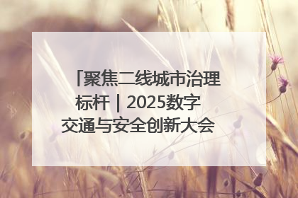 聚焦二线城市治理标杆｜2025数字交通与安全创新大会在保定隆重开幕