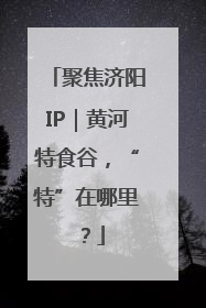 聚焦济阳IP｜黄河特食谷，“特”在哪里？
