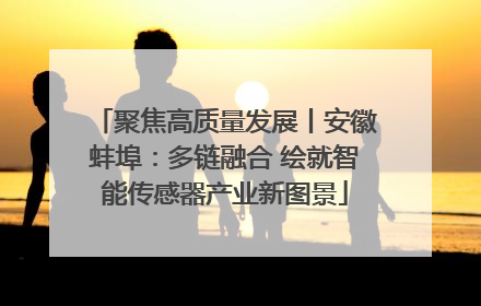 聚焦高质量发展丨安徽蚌埠：多链融合 绘就智能传感器产业新图景