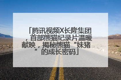 腾讯视频X长隆集团，首部熊猫纪录片温暖献映，揭秘熊猫“妹猪”的成长密码
