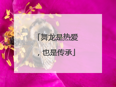 舞龙是热爱，也是传承