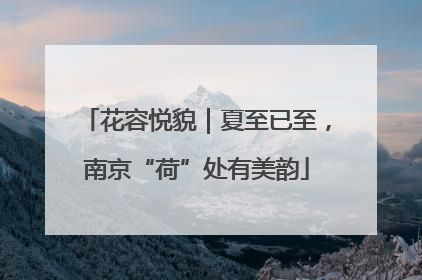 花容悦貌｜夏至已至，南京“荷”处有美韵