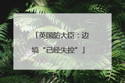 英国防大臣：边境“已经失控”