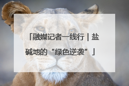 融媒记者一线行｜盐碱地的“绿色逆袭”