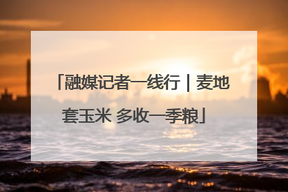 融媒记者一线行｜麦地套玉米 多收一季粮