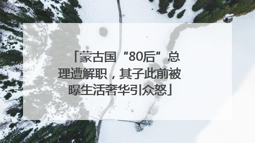 蒙古国“80后”总理遭解职，其子此前被曝生活奢华引众怒