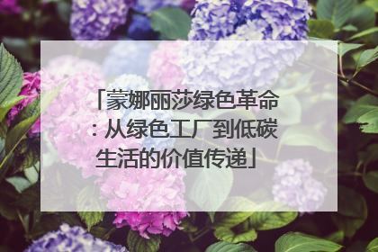 蒙娜丽莎绿色革命：从绿色工厂到低碳生活的价值传递