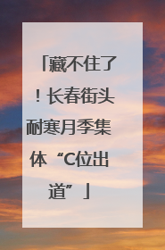 藏不住了！长春街头耐寒月季集体“C位出道”