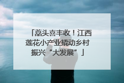 藠头喜丰收！江西莲花小产业撬动乡村振兴“大发展”
