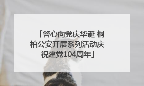 警心向党庆华诞 桐柏公安开展系列活动庆祝建党104周年