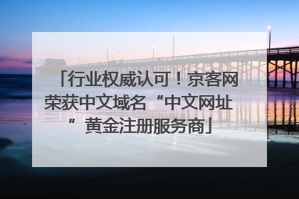 行业权威认可！京客网荣获中文域名“中文网址”黄金注册服务商