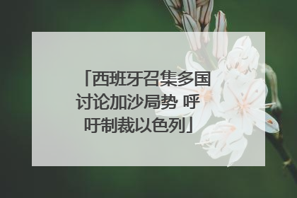 西班牙召集多国讨论加沙局势 呼吁制裁以色列