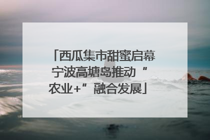 西瓜集市甜蜜启幕 宁波高塘岛推动“农业+”融合发展
