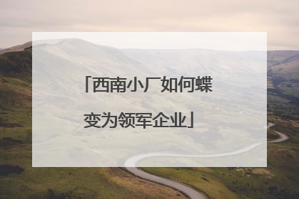 西南小厂如何蝶变为领军企业