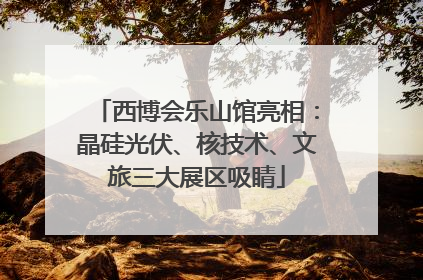 西博会乐山馆亮相:晶硅光伏、核技术、文旅三大展区吸睛