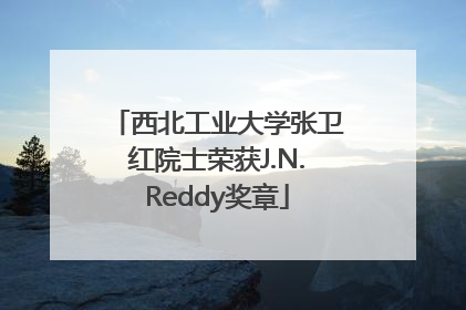 西北工业大学张卫红院士荣获J.N.Reddy奖章
