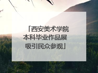 西安美术学院本科毕业作品展吸引民众参观