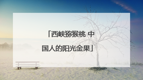 西峡猕猴桃 中国人的阳光金果