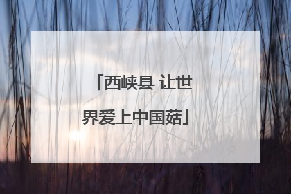 西峡县 让世界爱上中国菇