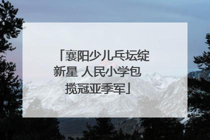襄阳少儿乓坛绽新星 人民小学包揽冠亚季军