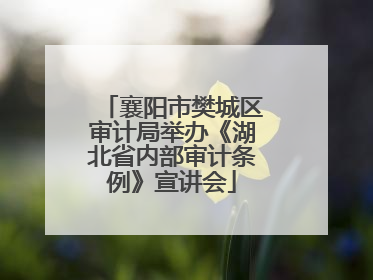襄阳市樊城区审计局举办《湖北省内部审计条例》宣讲会