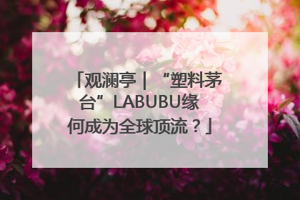 观澜亭｜“塑料茅台”LABUBU缘何成为全球顶流？