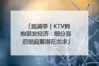 观澜亭｜KTV拥抱银发经济：细分赛道里藏着潜在需求