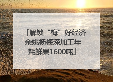 解锁“梅”好经济 余姚杨梅深加工年耗鲜果1600吨