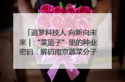 追梦科技人 向新向未来｜“菜篮子”里的种业密码：解码南京蔬菜分子育种的创新之路