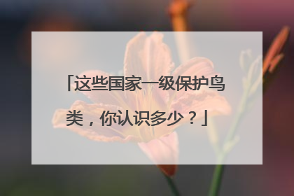 这些国家一级保护鸟类，你认识多少？