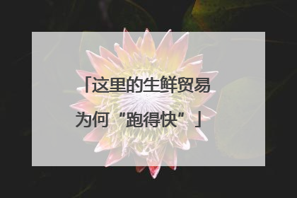 这里的生鲜贸易为何“跑得快”
