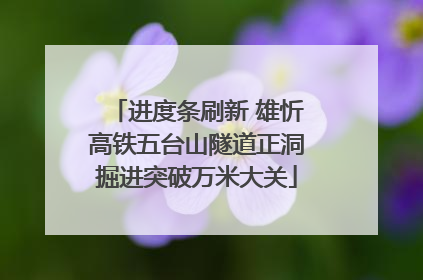 进度条刷新 雄忻高铁五台山隧道正洞掘进突破万米大关