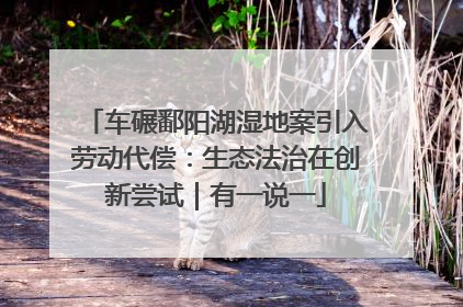 车碾鄱阳湖湿地案引入劳动代偿：生态法治在创新尝试｜有一说一